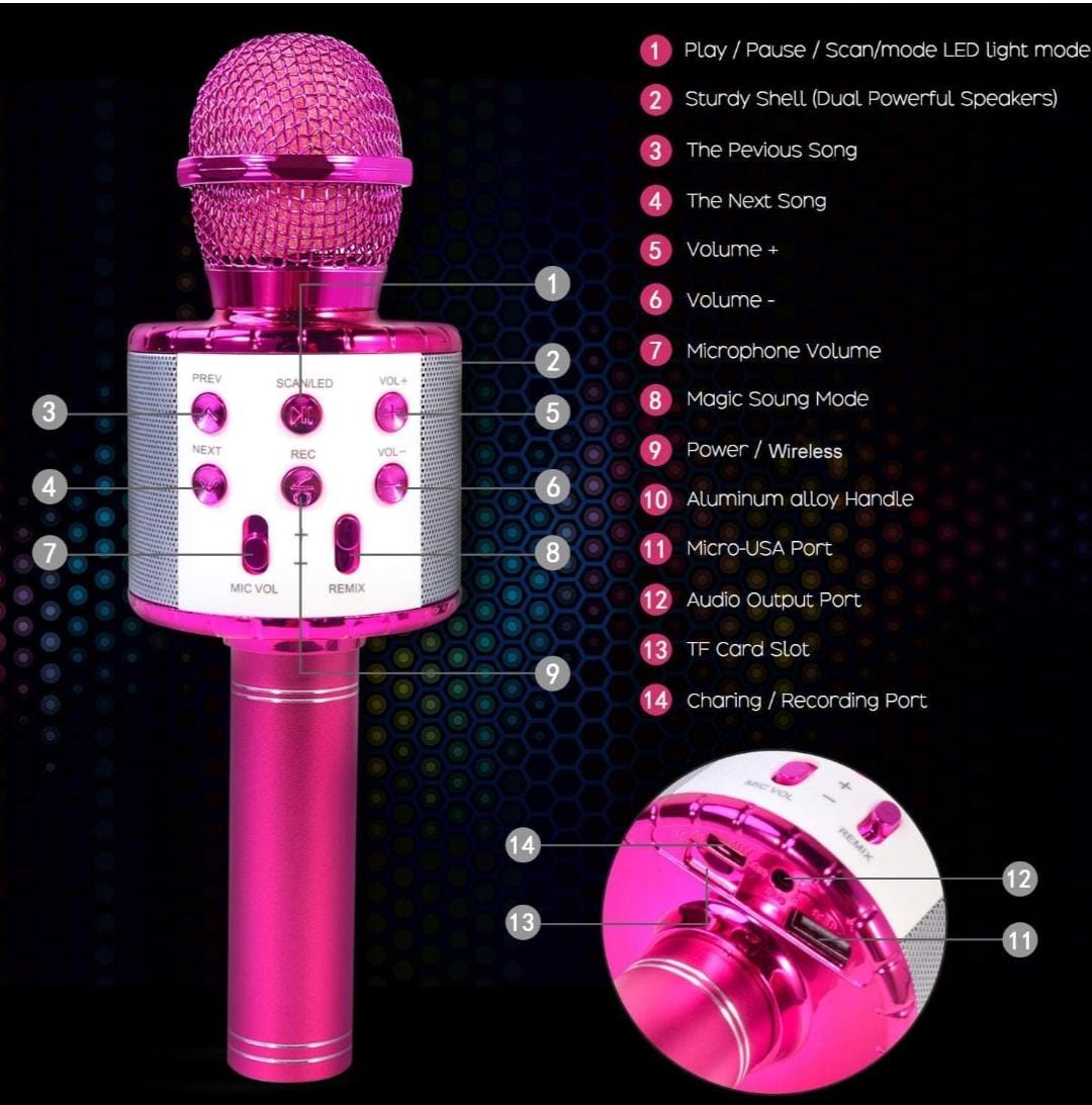 4 in 1 Karaoke Wireless Microphone